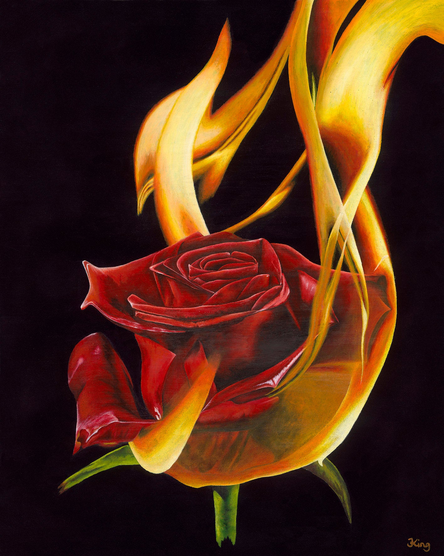 Fire rose HD phone wallpaper | Pxfuel